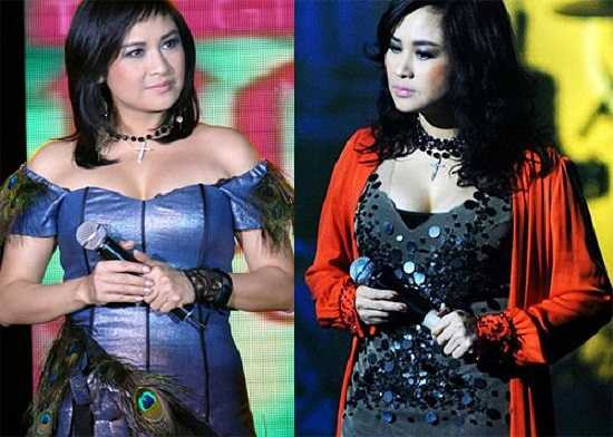 Tuy nhiên, chỉ cần từng đó thôi diva tuổi trung niên cũng đã khiêu khích bao ánh nhìn.