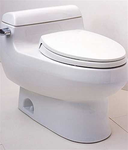 Bồn cầu vệ sinh. Dù nhìn trắng trẻo, bóng bẩy và sạch sẽ đến đâu thì đây vẫn là nơi chứa đủ loại virus, vi khuẩn và bệnh dịch. Thống kê cho thấy có khoảng 295 vi khuẩn trên vài cm2 của một chiếc bồn cầu vệ sinh, còn số vi khuẩn trên một chiếc bồn cầu thì còn kinh khủng hơn nhiều lần với gần 3,2 triệu vi khuẩn.