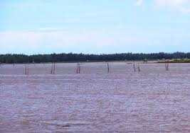 hỗn chiến trên sông, sát hại bạn ghe, cướp mực