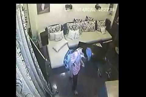 đạo chích đạo chích