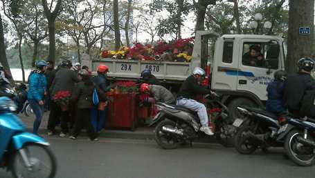 Nhiều người dựng xe giữa đường để lấy hoa.