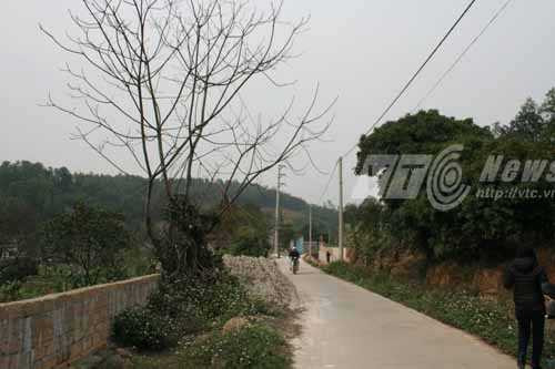 Điện lực Hải Phòng, điện giật, cháy sém nửa người, Thủy Nguyên, Hải Phòng