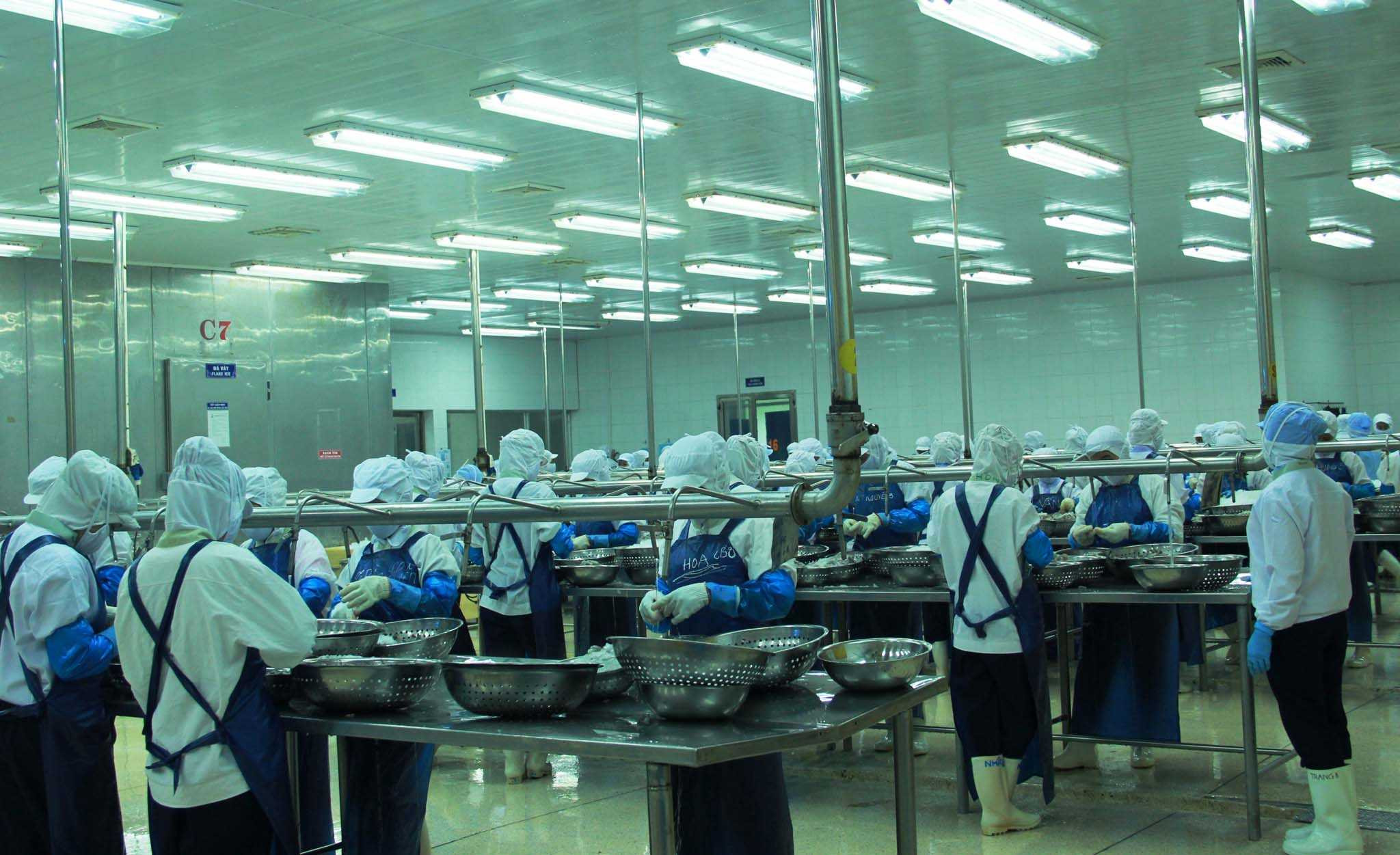 thương lái, Trung Quốc, Việt Nam, Đà Nẵng, doanh nghiệp, thủy sản