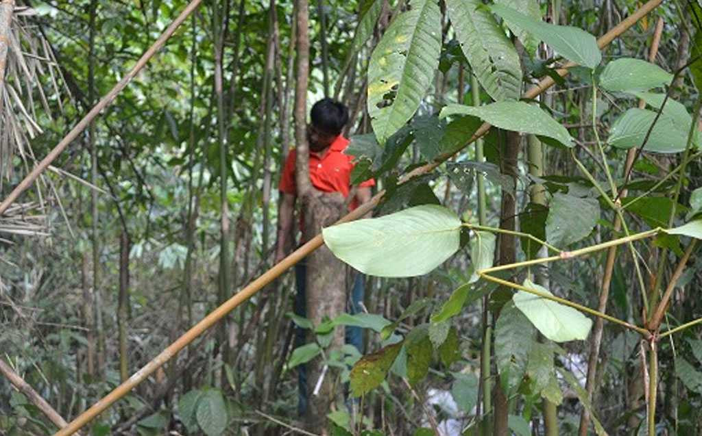 Quảng Nam, giết người, đâm chết, giết vợ, tự sát, treo cổ