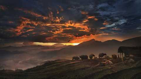 Sapa, tuyệt đẹp, ống kính, nước ngoài