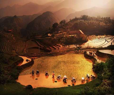 Sapa, tuyệt đẹp, ống kính, nước ngoài