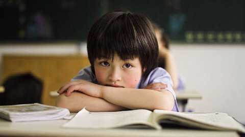 Cao Huy Thuần, Bùi Văn Nam Sơn, Nguyễn Xuân Xanh, trẻ em, triết học, Nhật ký Sen trắng - Chuyện kể cho tuổi 15 và phụ huynh, giáo dục, dạy con