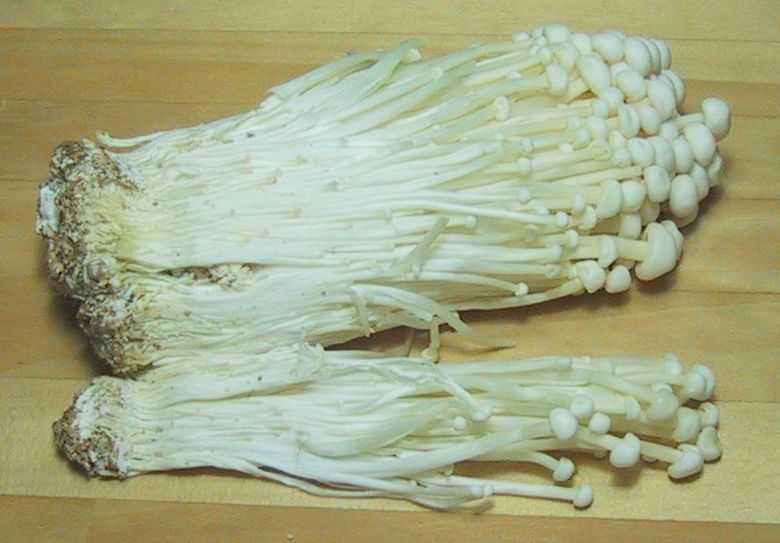 nấm