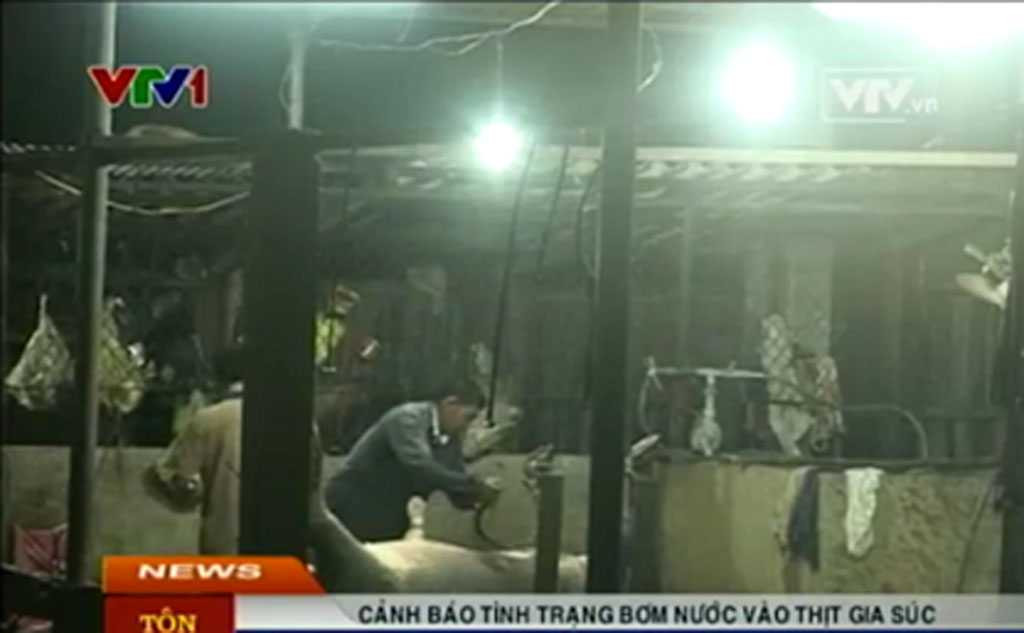 giết mổ, vệ sinh an toàn, thực phẩm, gia súc