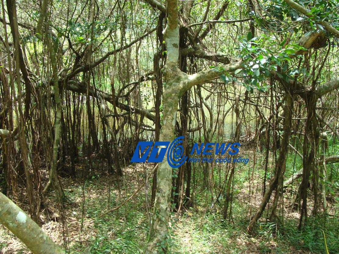 trận đồ trấn yểm