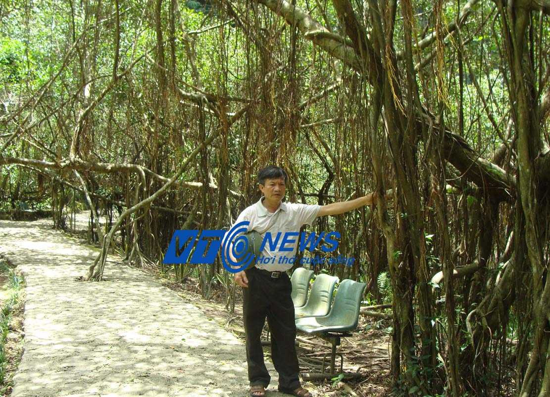 trận đồ trấn yểm