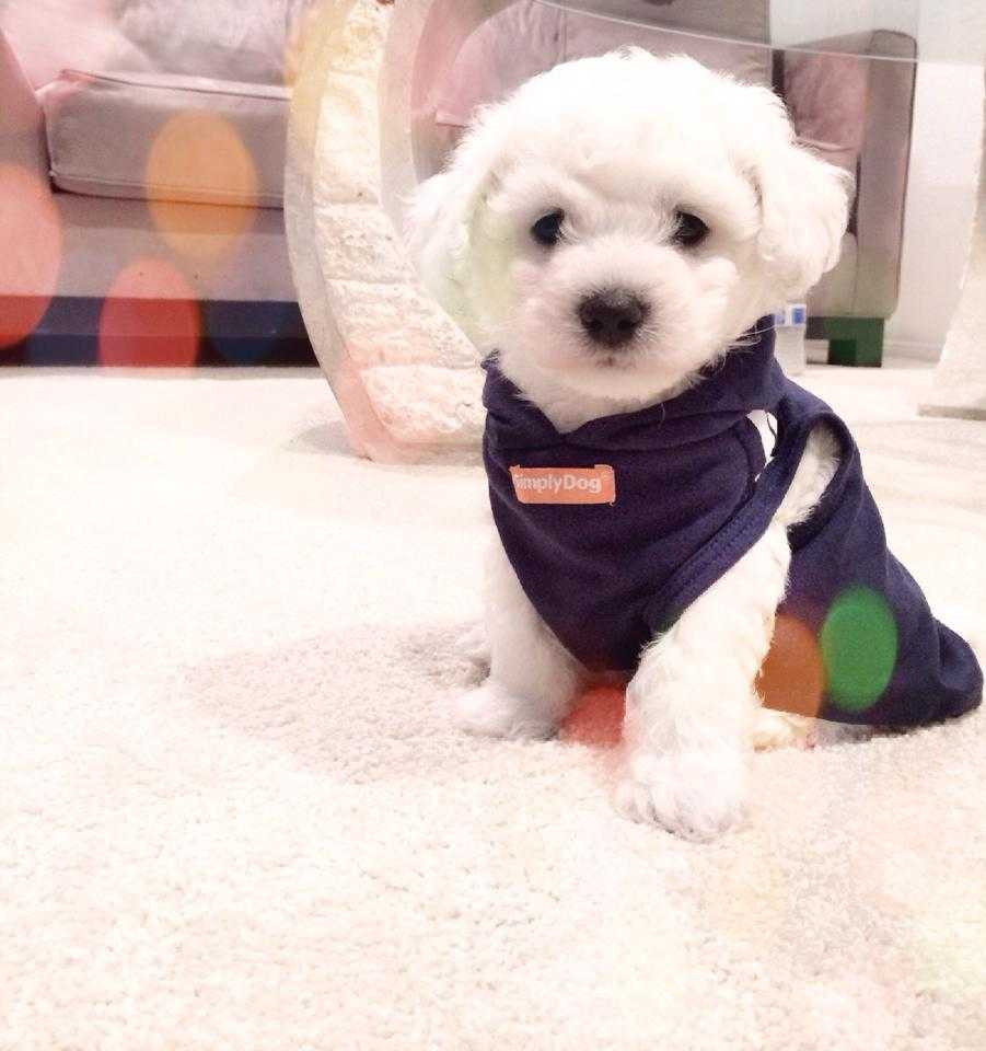 Ngọc Quyên đẹp hút mắt đi ăn với chồng ngày 8/3