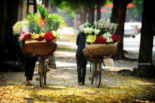 thời tiết, miền bắc