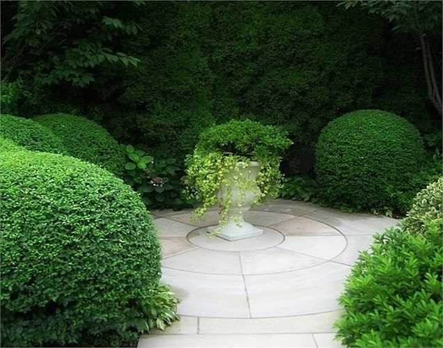 Phần sân vườn Rose Garden Thượng Hải được thiết kế nhiều cây xanh... 