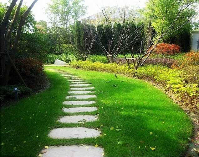 Lối đi bộ lát đá của Rose Garden Thượng Hải (Trung Quốc), cây cỏ rất xanh tốt.
