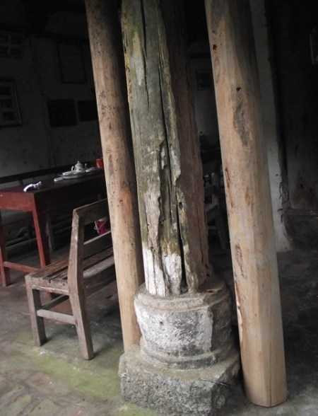 Hàng cột chống trước đại đình hỏng nhiều phải dùng cây bạch đàn chống tạm