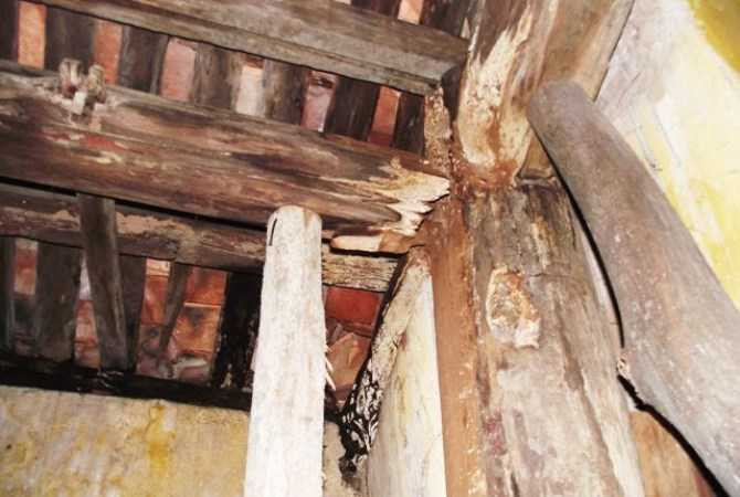 Mái kèo bị mối, mọt ăn mục ruỗng phải dùng nhiều cây gỗ nhỏ chống đỡ