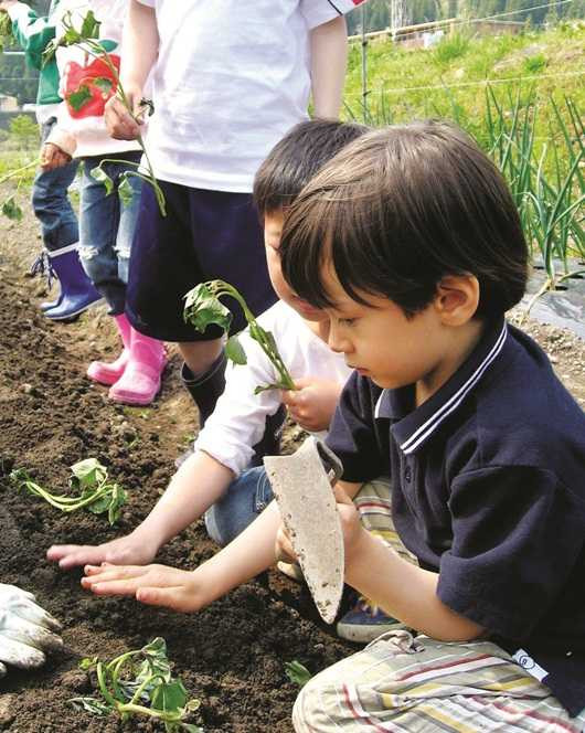 Bí quyết dạy con kiểu Nhật