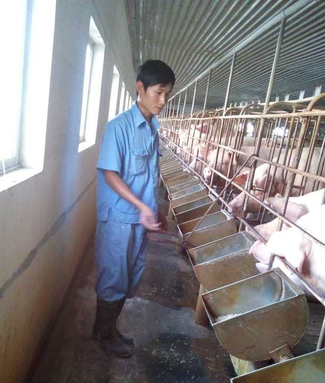 nguyễn sỹ luận