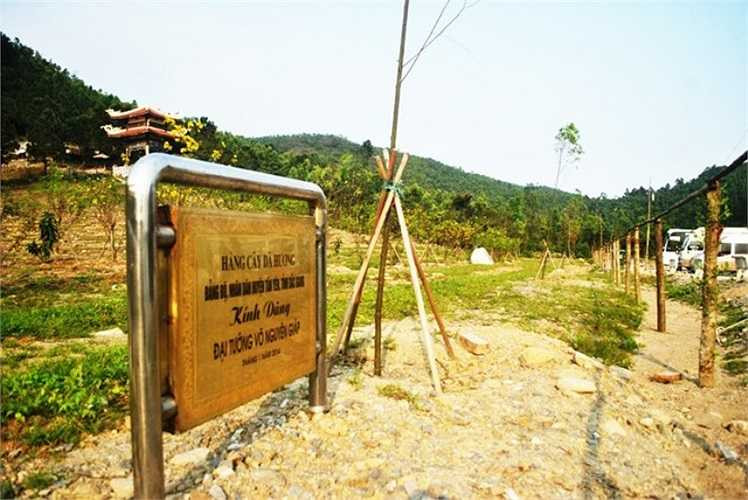 Trước khi vào thắp hương viếng Đại tướng, du khách sẽ được ngắm những cây mai nở hoa vàng cùng hàng cây dã hương do cán bộ và nhân dân huyện Tân Yên (tỉnh Bắc Giang) dâng tặng.