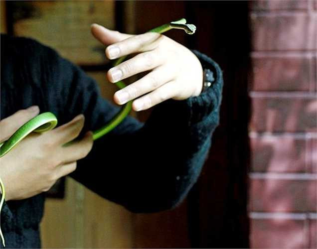 Nguyễn Minh Nghĩa là người đam mê các loài thú, đặc biệt là bò sát. Anh bắt đầu với thú chơi này từ hơn 8 năm trước từ loài kỳ nhông Việt Nam. 