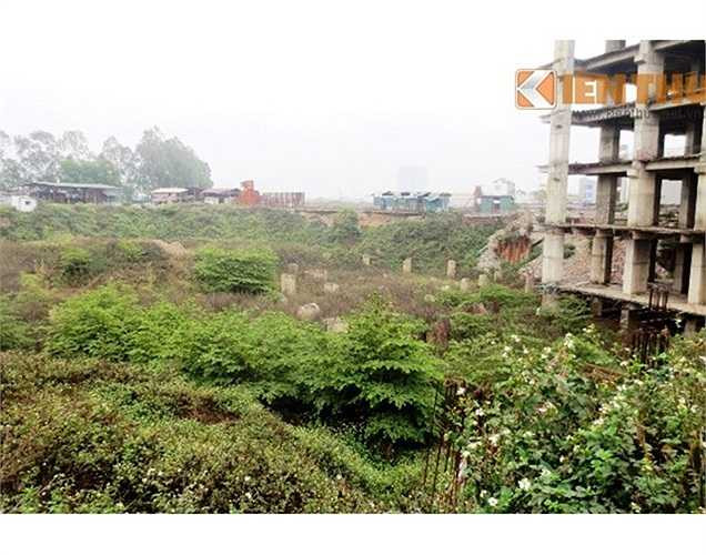 Cây, cỏ dại mọc um tùm bao quanh Usilk City.