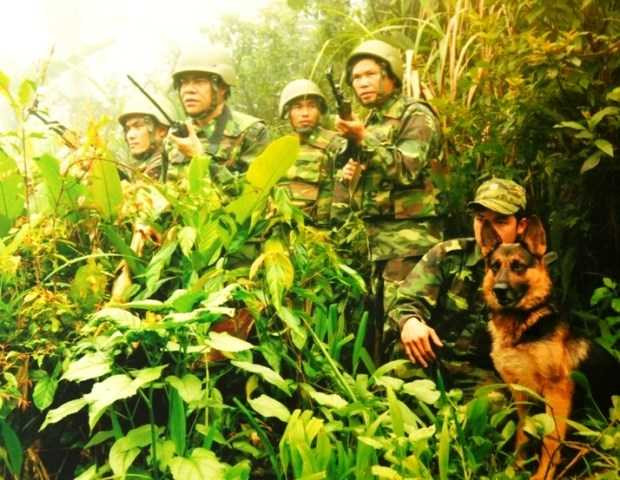 Chó nghiệp vụ sát cánh cùng đội chuyên án chống tội phạm mật phục đón lõng đối tượng.