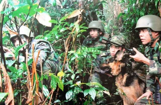 Thượng tá Võ Trọng Hải (cầm bộ đàm) cùng các chiến sĩ tham gia đánh án và chó nghiệp vụ biên phòng phục kích trong bụi rậm sẵn sàng truy bắt tội phạm.