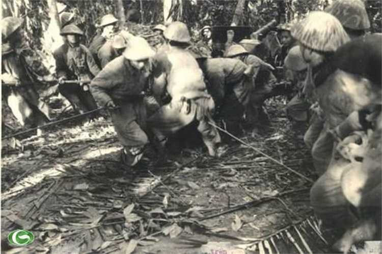 Ở mặt trận Điện Biên Phủ tham gia chiến dịch, lực lượng ta có 3 đại đoàn bộ binh (308, 312, 316), trung đoàn bộ binh 57 (đại đoàn 304), đại đoàn công binh pháo binh 351. Tư lệnh chiến dịch là Đại tướng Võ Nguyên Giáp. (Trong ảnh: Kéo pháo vào trận địa)