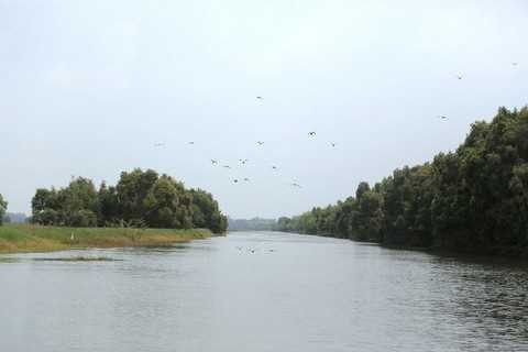 Chiêm ngưỡng vườn quốc gia Tràm Chim giữa mùa chim về