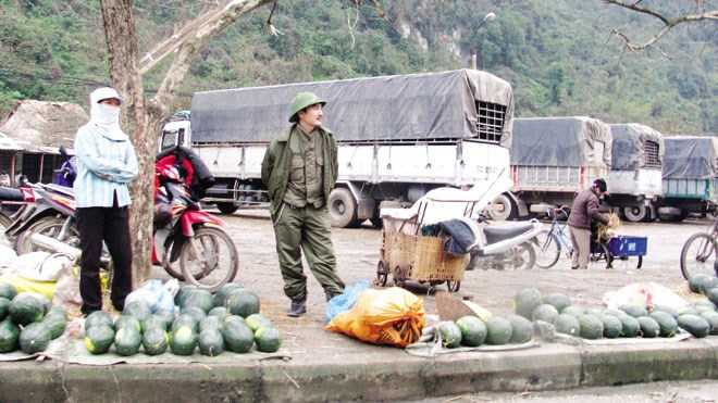 Dưa hấu ở tân thanh
