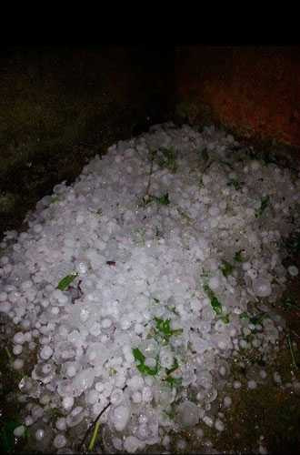 Người dân quét được rất nhiều hạt đá.