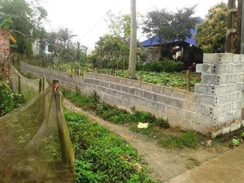 nữ sinh đất Cảng, tử vong, nhiễm độc thuốc diệt cỏ, Công an TP Hải Phòng, Kiến An