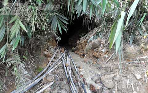 Quảng Nam, vàng tặc, phu vàng, đào tẩu, bãi vàng, cai bãi