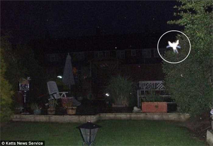 Năm 2009, Phyllis Bacon, 55 tuổi, cũng tin rằng bà đã chụp được ảnh một nàng tiên bướm tí hon trong khu vườn ở New Addington, gần Croydon, Nam London. 