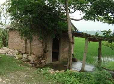 'Dâng' người yêu cho bạn trong ngày sinh nhật