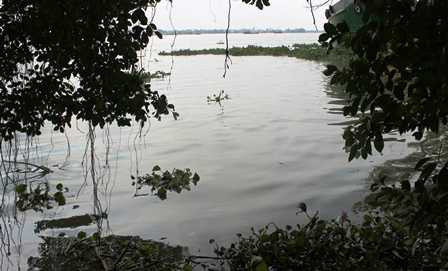 Vận động viên bơi lội chết đuối thương tâm trên sông Sài Gòn