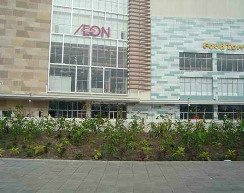 AEON