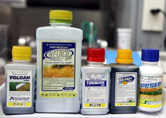  Paraquat là hóa chất cực độc (người dân gọi là “thuốc cỏ cháy”). Trên thế giới, nhằm cố gắng làm giảm tỷ lệ tử vong, nhiều nước đã cấm sử dụng Paraquat, các nước còn lại quản lý sử dụng Paraquat rất chặt chẽ