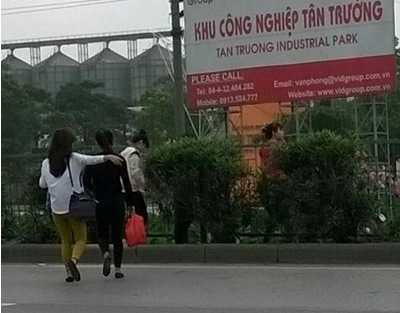 Nhiều lỗ hổng được tạo ra để vượt rào chắn băng qua đường.