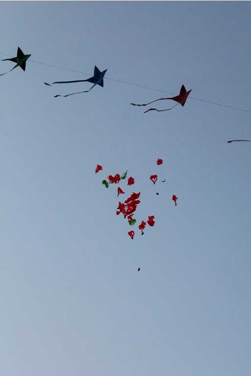 Lạ mắt diều thả trên bầu trời cố đô