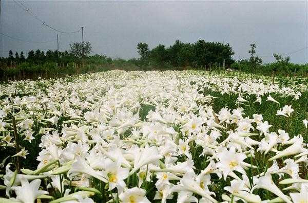 Bắc Bộ mưa giảm, nhiệt độ tăng nhanh. (Ảnh minh họa)