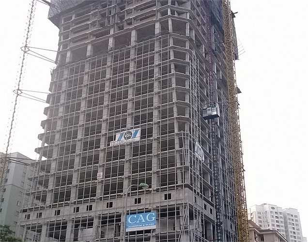 Một dự án khác cũng đang “hot” thời gian gần đây là chung cư cao cấp Diamond Flower Tower do Công ty cổ phần Đầu tư và Phát triển nhà số 6 Hà Nội (Handico 6) làm chủ đầu tư.