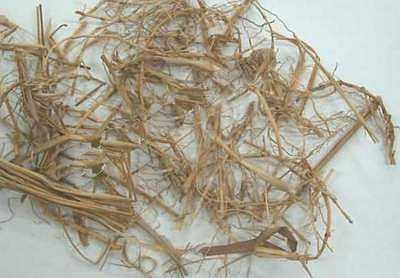 Rễ lau: Chữa trẻ bị bệnh sởi mà nốt sởi không mọc được, trường hợp trẻ bị bệnh sởi, sốt, khát nước, người bứt rứt, có biểu hiện ho, khạc đờm vàng đặc và viêm phổi.