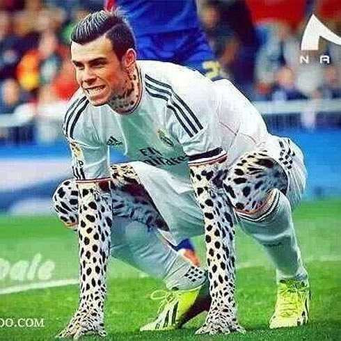 Phải chăng Bale mang gen của báo đốm?