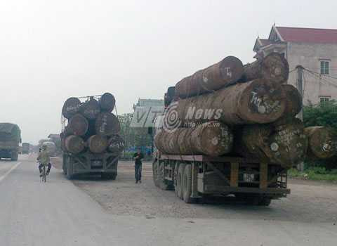 xe quá khổ, quá tải, cân tải trọng, Cảng vụ Hải Phòng, Hiệp hội vận tải, Thanh tra giao thông, Sở GTVT Hải Phòng