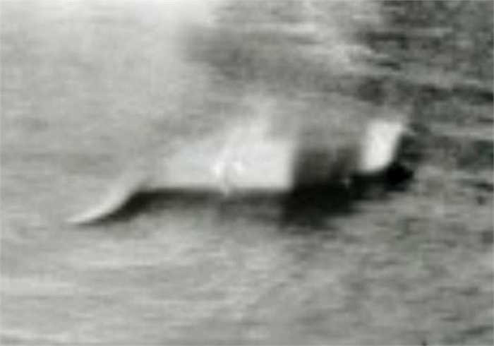 12/11/1933, Hugh Gray khi đi dạo bên hồ Loch Ness đã giật mình khi thấy một vật khổng lồ phun nước trên mặt hồ.
