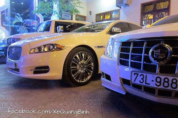 Dàn xe này không quá đắt nhưng toàn thương hiệu hiếm như Jaguar, Cadillac...