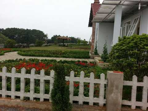 Biệt thự sinh thái hút khách