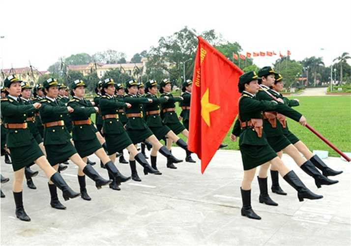 Tổ quân kỳ đều, đẹp